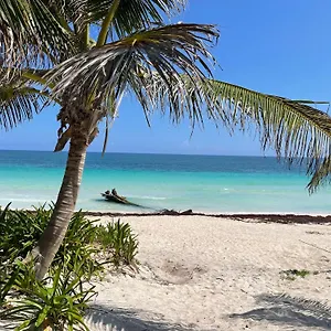 Phoenix Tulum